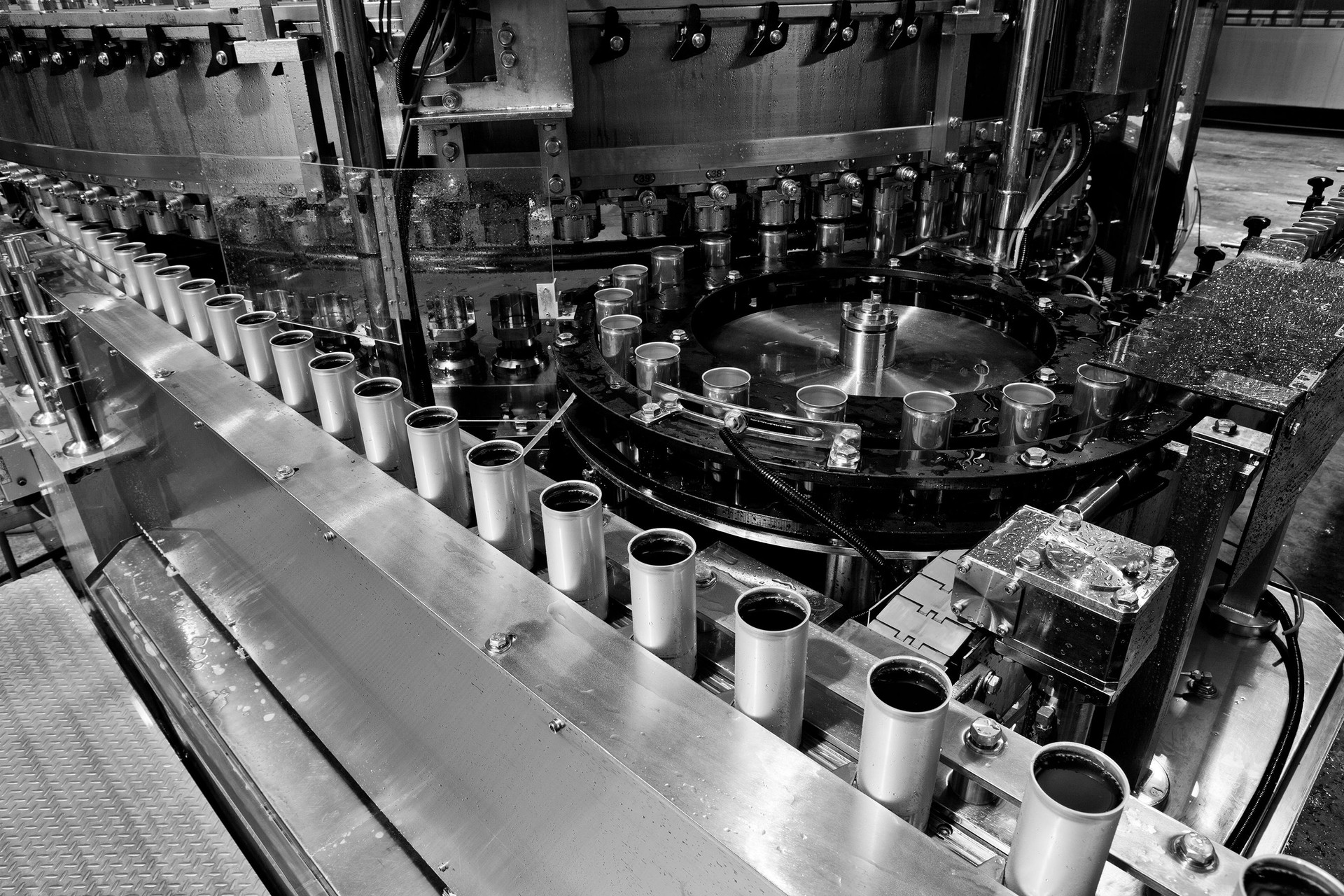 Can drinks production
