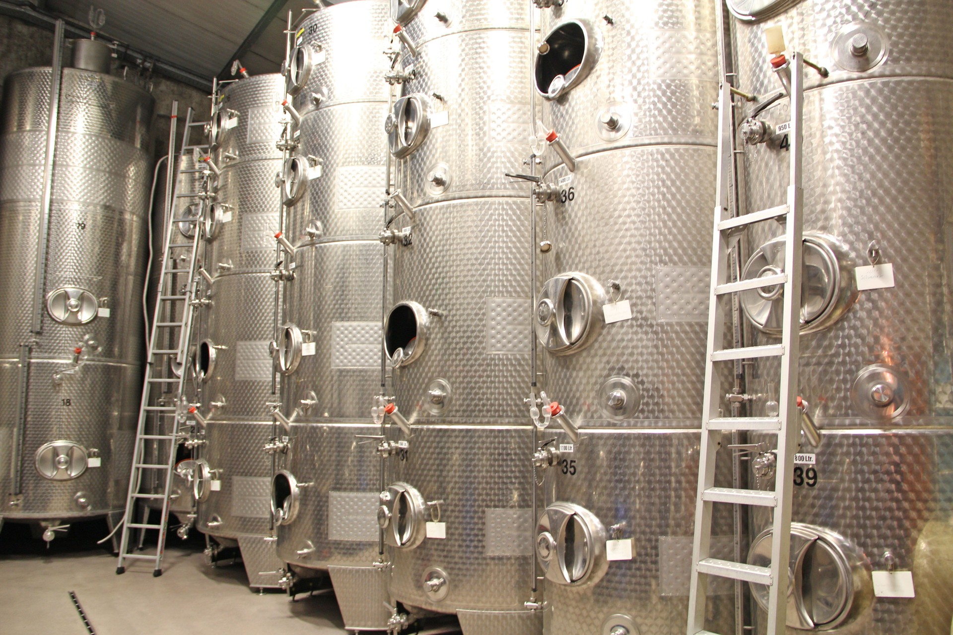 Stainless steel tanks in wine cellar