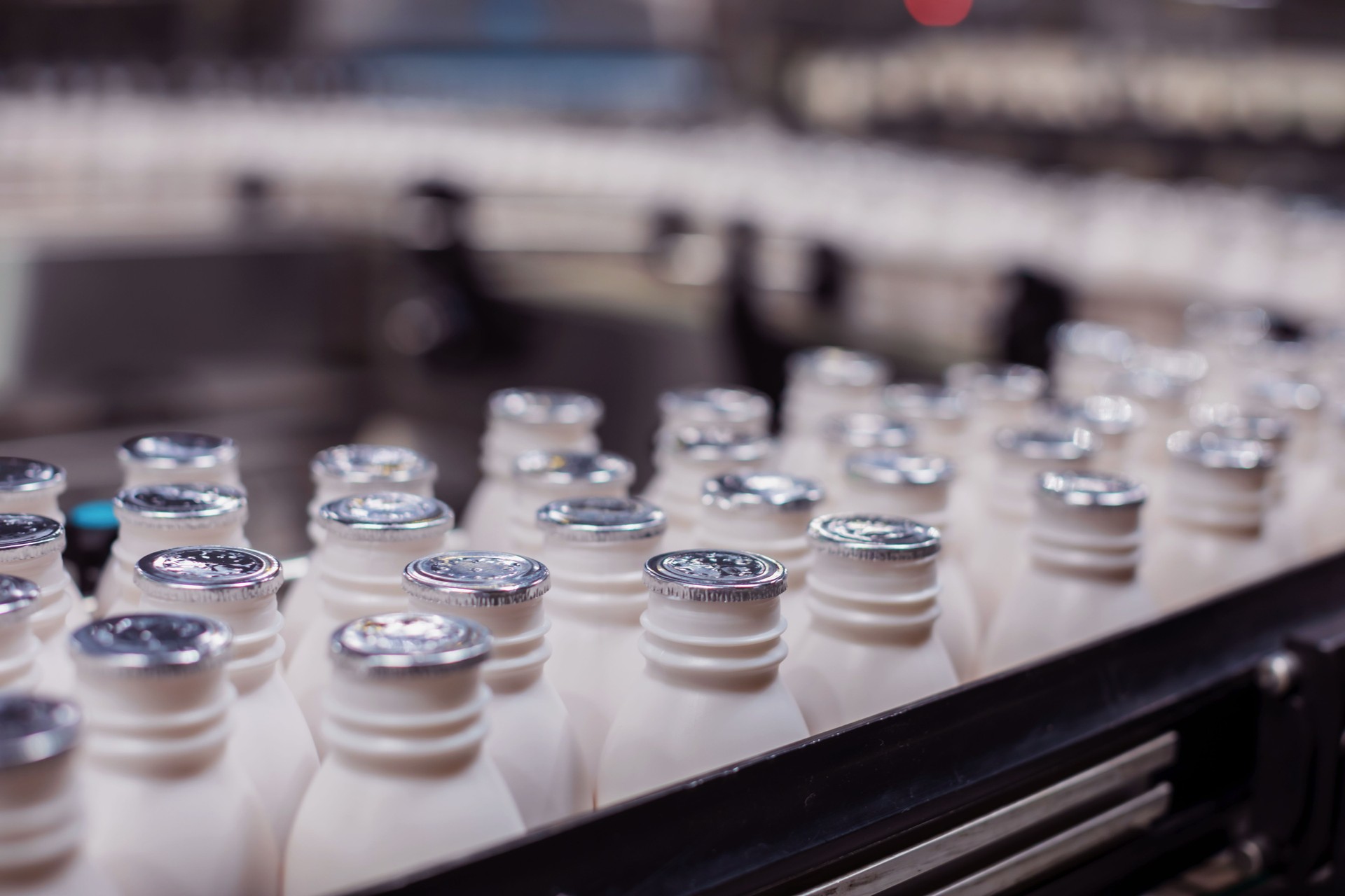 Fresh Milk Bottles Moving on the Conveyor Belt at a Dairy Plant in Africa